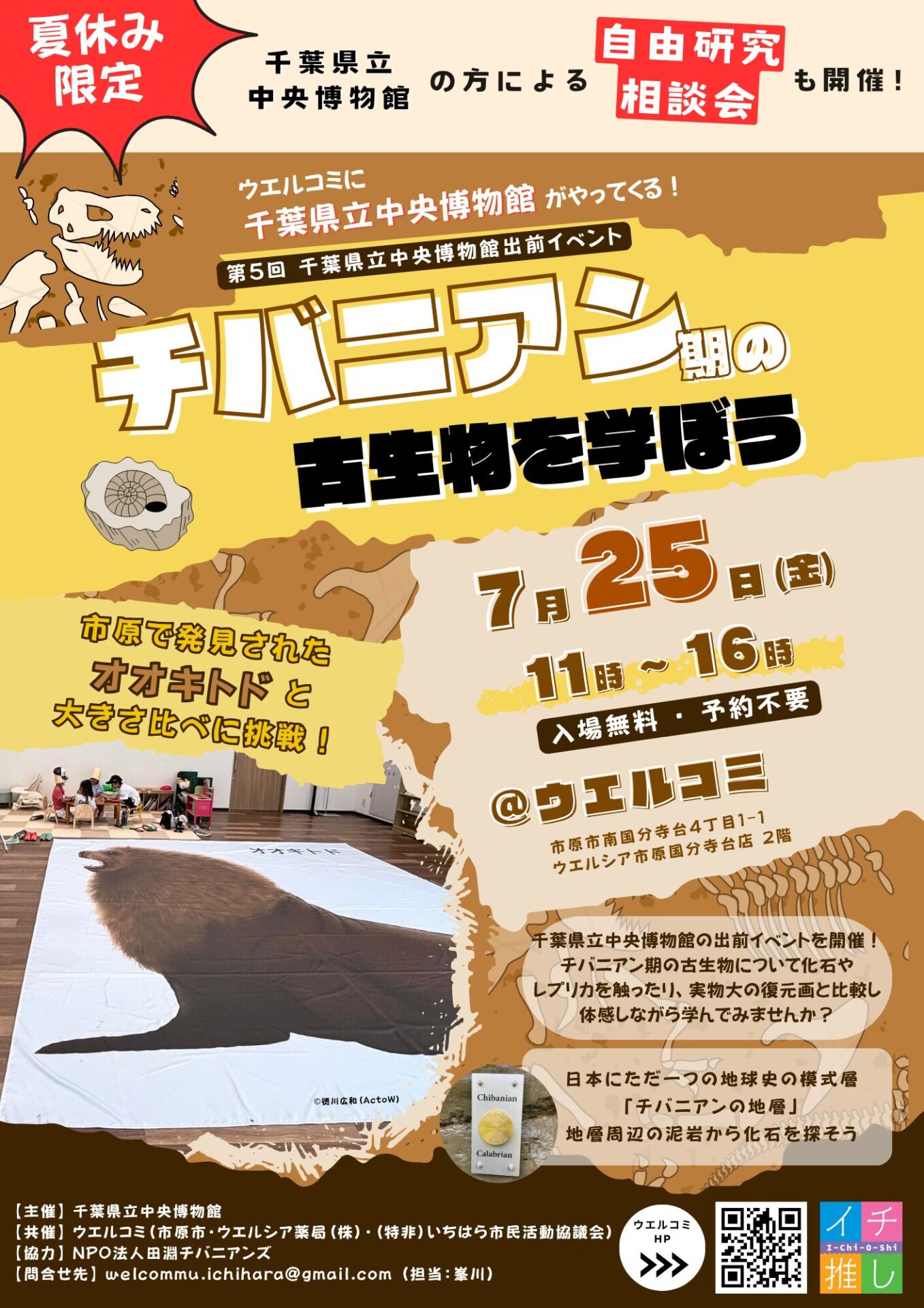 【7/25(金)】千葉県立中央博物館 出前イベント「チバニアン期の古生物を学ぼう」