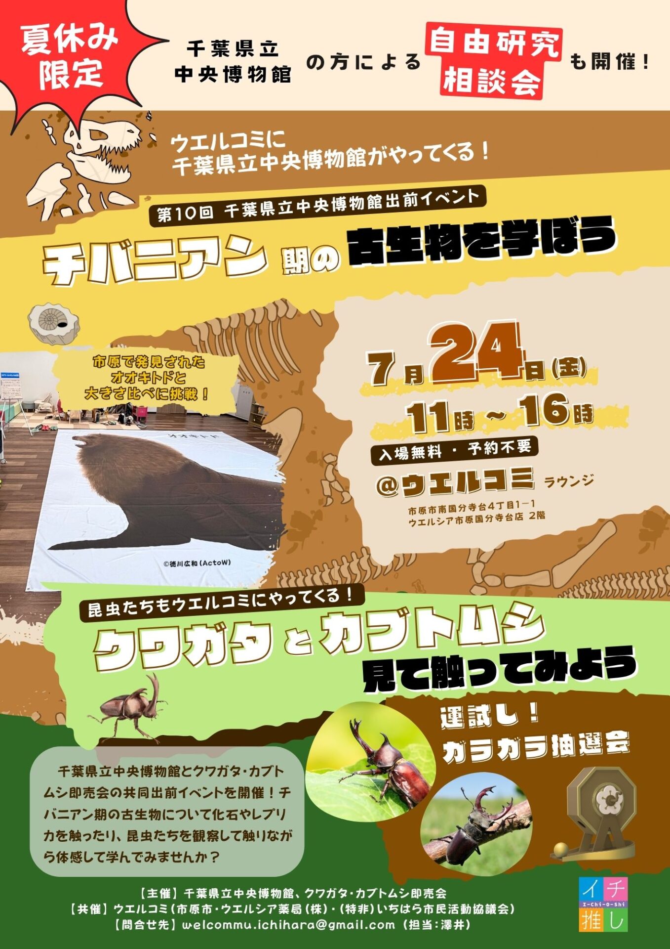 【夏休み限定】ウエルコミに千葉県立中央博物館がやってくる！！ 〜チバニアン期の古生物を学ぼう＆クワガタ・カブトムシに触れ合おう〜