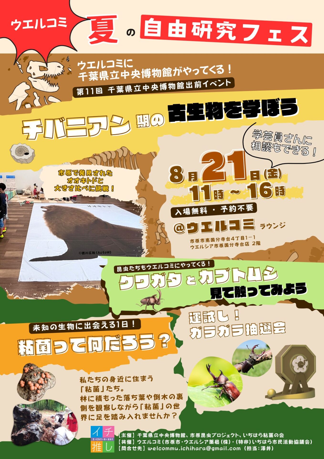 ウエルコミ夏の自由研究フェス                                      〜チバニアン期の古生物を学ぼう＆クワガタ・カブトムシと触れ合おう＆粘菌ってなんだろう〜