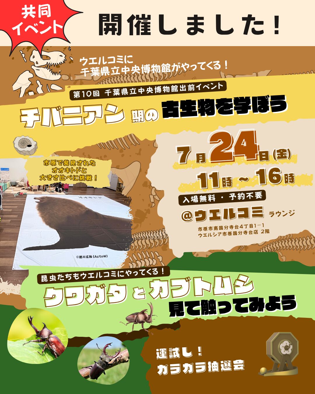 【開催報告】過去最大の来場者数！千葉県立中央博物館出前イベント＆昆虫ふれあいイベント